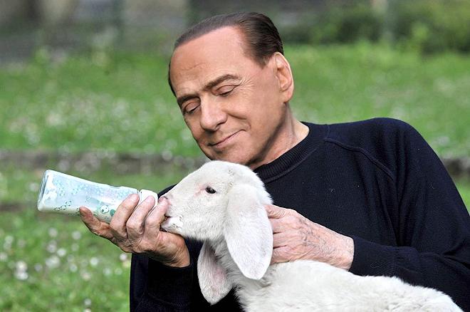 silvio berlusconi agnello