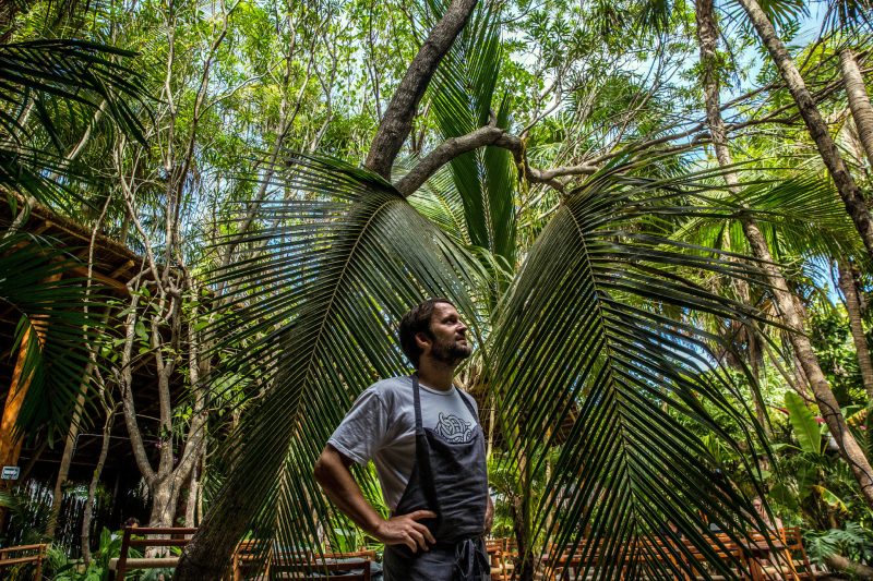 noma mexico rene redzepi
