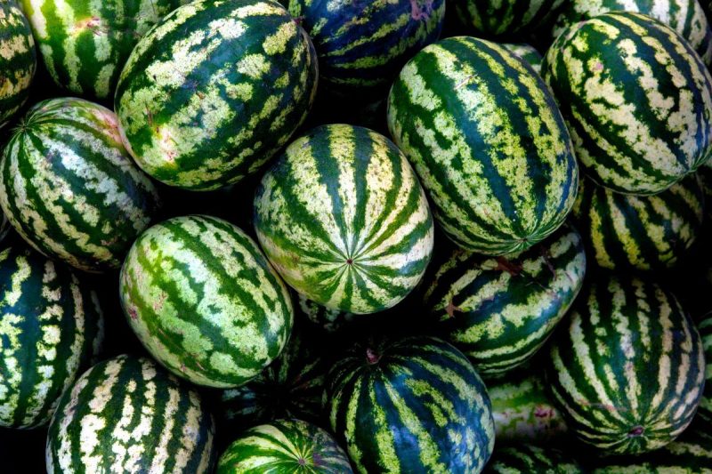 cocomeri