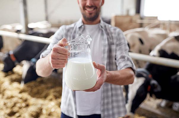 Latte crudo: all’incrocio tra super food e super rischio