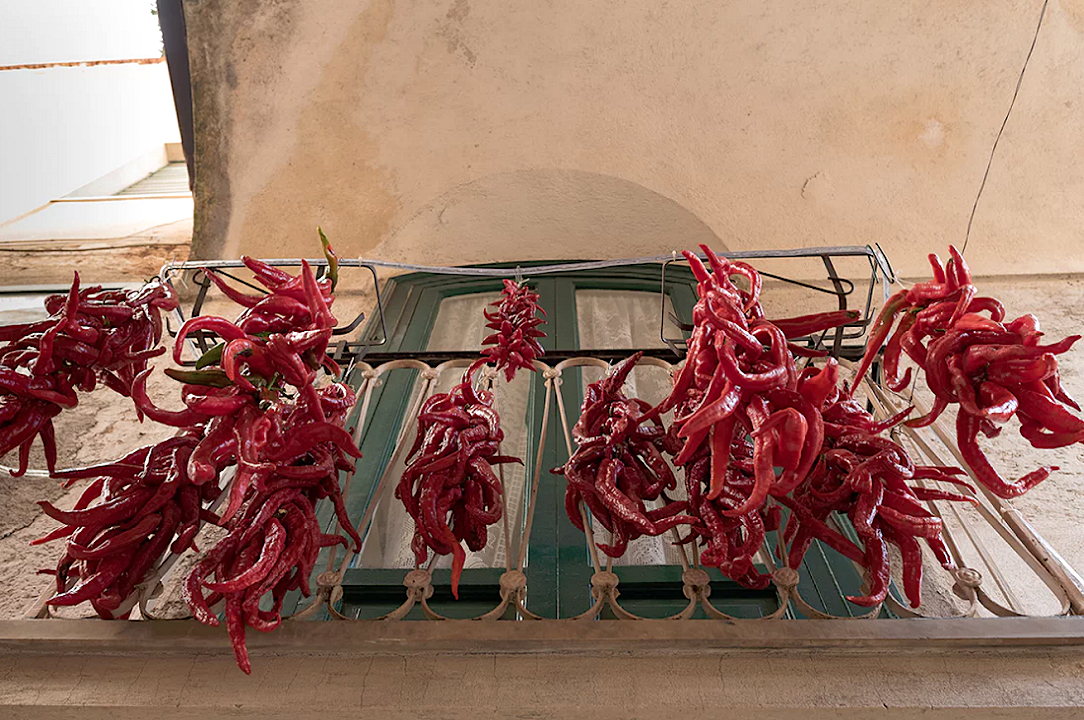 Quelle irresistibili trecce di peperoni cruschi, dalla Basilicata con orgoglio
