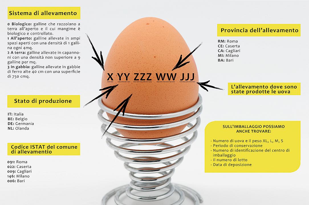 Uova contaminate: sapere come si legge il codice può aiutarci