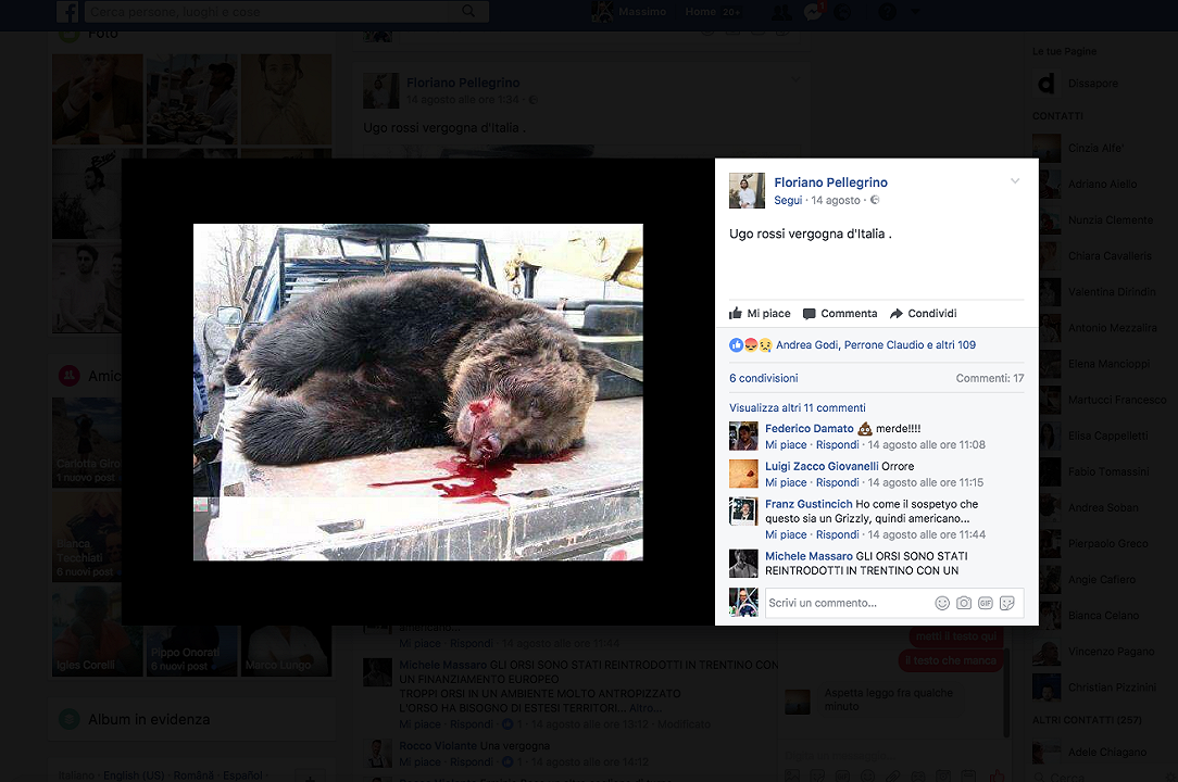 L’orsa uccisa e la furia animalista dei giovani chef italiani