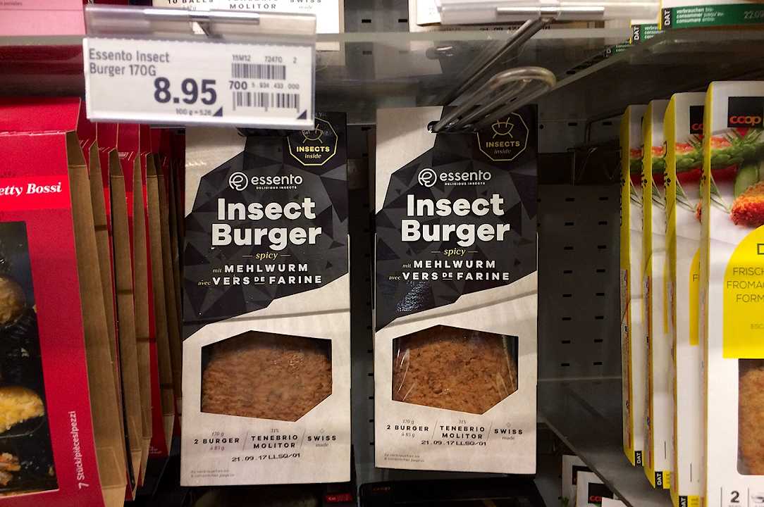 Siamo stati in Svizzera per provare i costosissimi burger a base di insetti