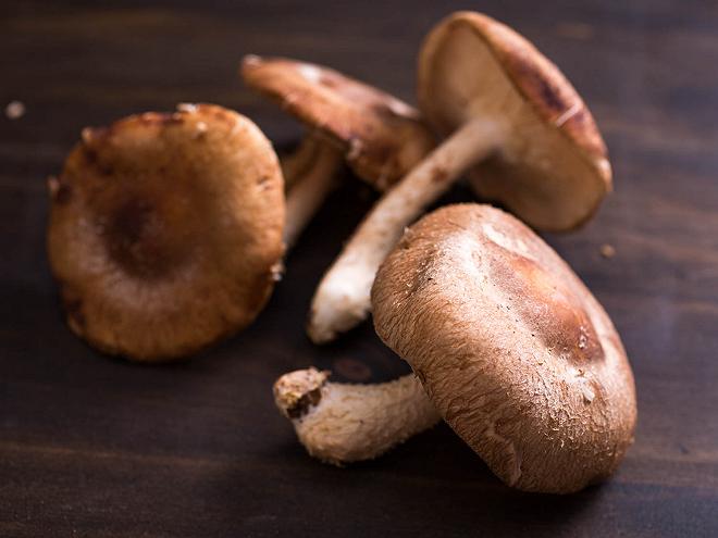 funghi shiitake