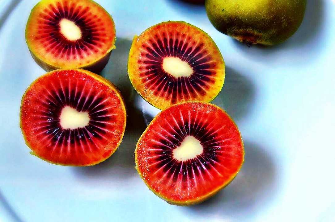 Mai visto il kiwi rosso? È un frutto esotico ma si coltiva a Bergamo