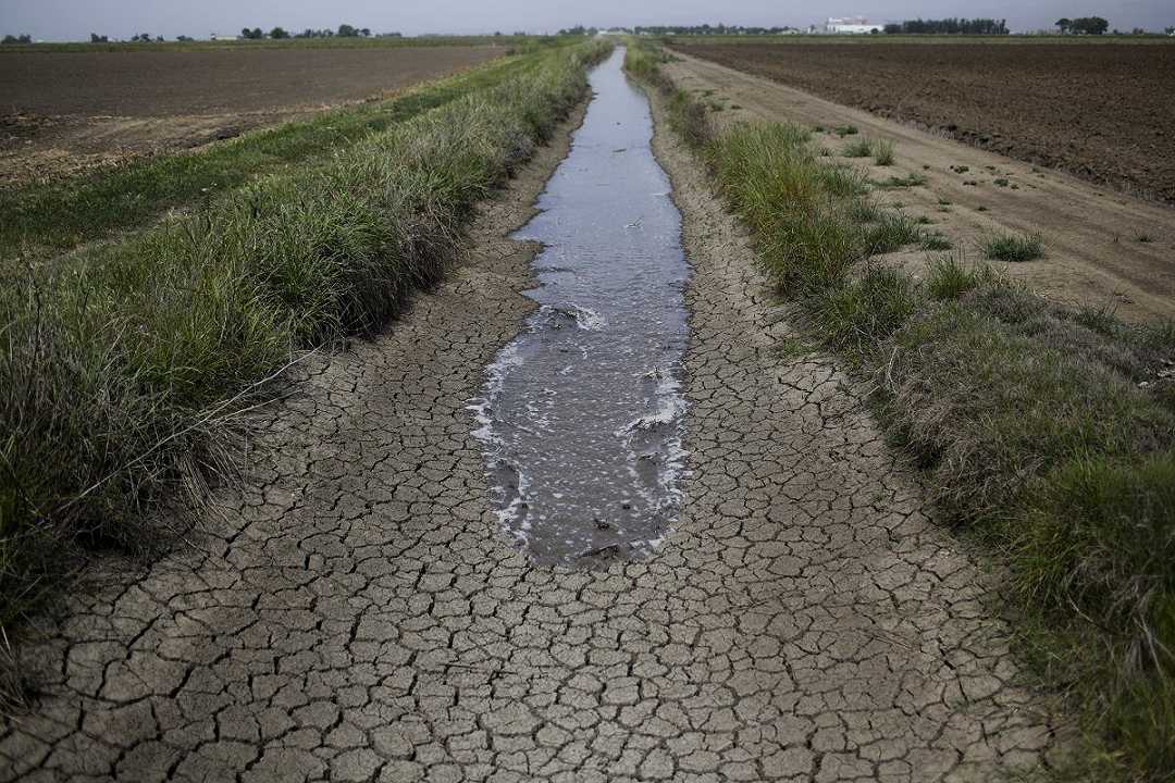 Siccità, le province di Roma e Viterbo sono le “capitali della sete”: deficit di piogge da record