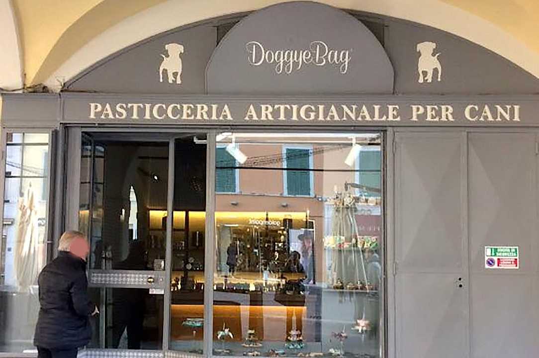 Cosa dice di noi l’apertura di una pasticceria per cani a Brescia