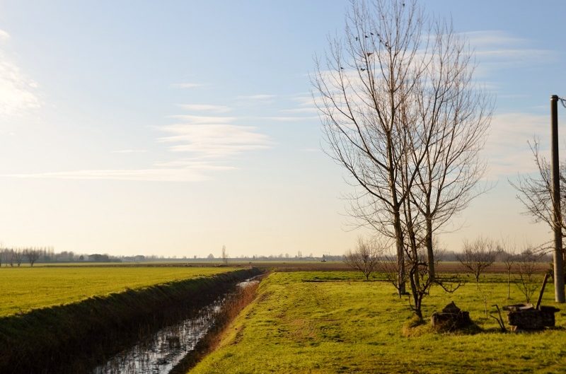 azienda (2)