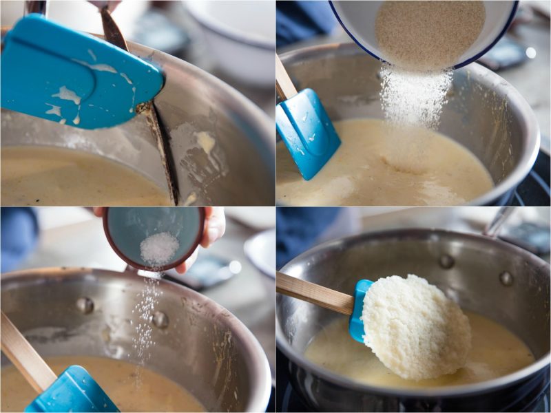 agar agar per la panna cotta