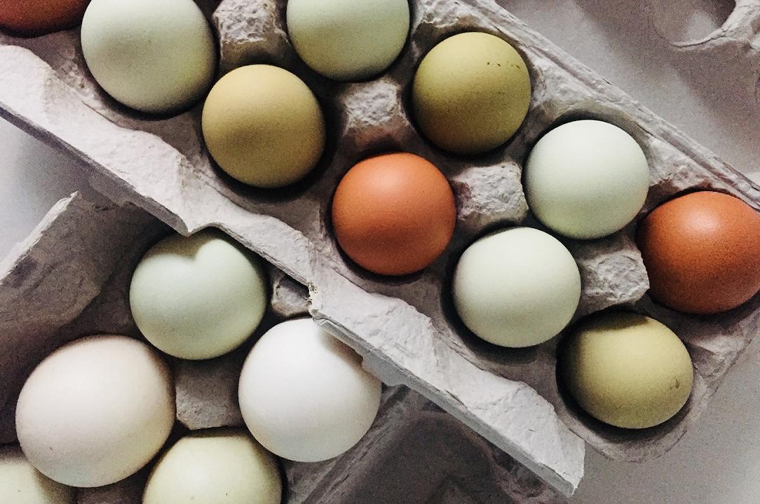 Le 15 uova, bio e gourmet, migliori d'Italia