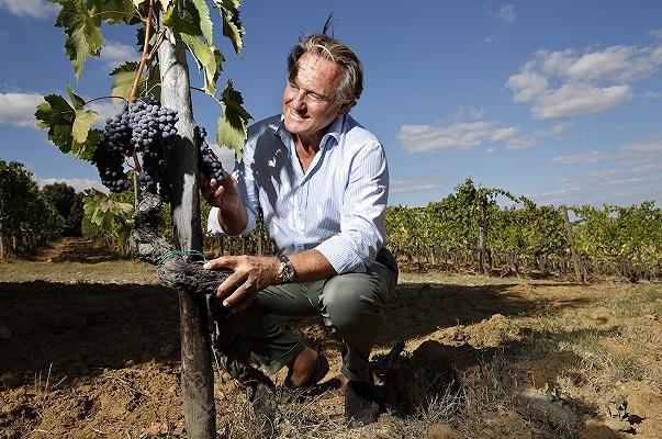 Jacopo Biondi Santi: il Fisco chiede 4,8 milioni di euro al “re del Brunello”