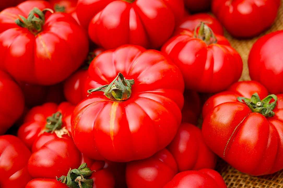 Nuove etichette: come riconoscere i pomodori di origine italiana