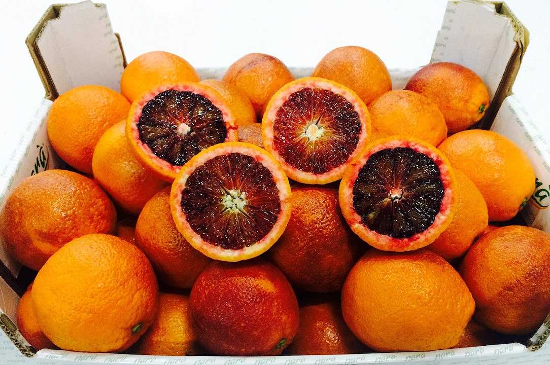 Vitamina C pari a 2000 arance, la bomba anti cancro sperimentata a Candiolo