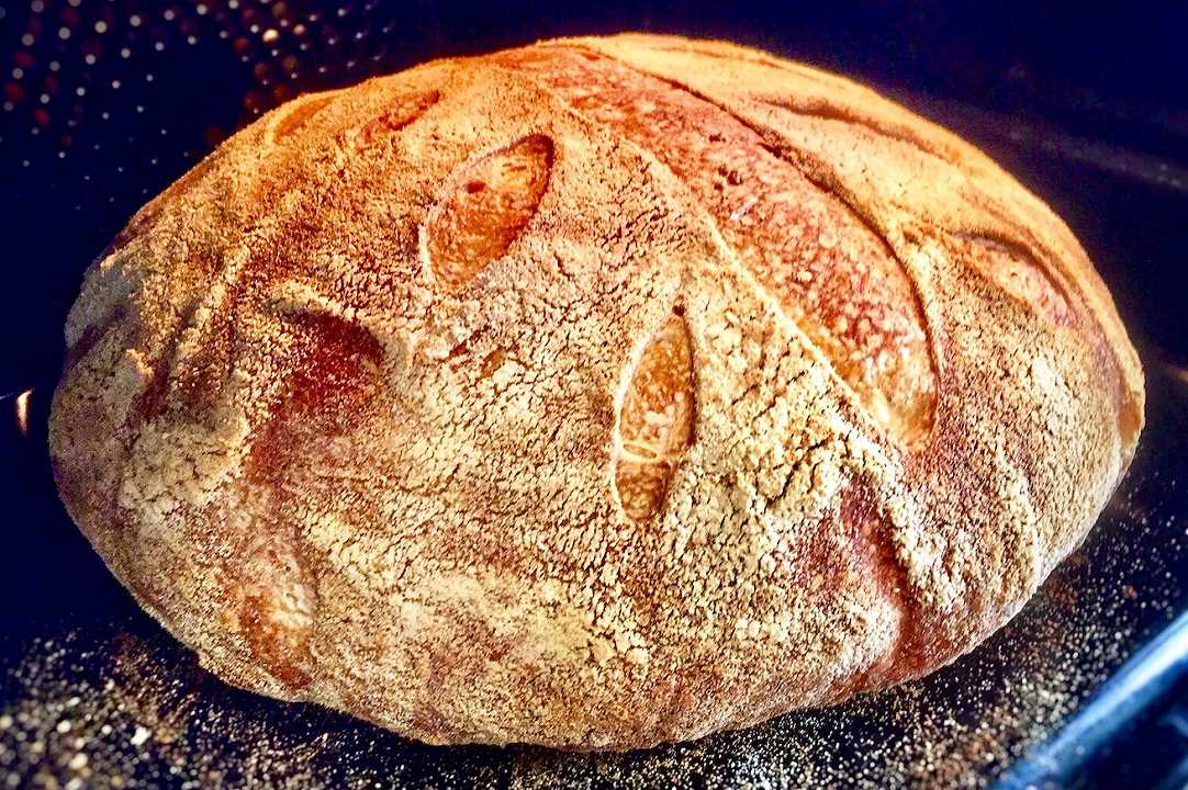 Pane con lievito madre fatto in casa senza errori