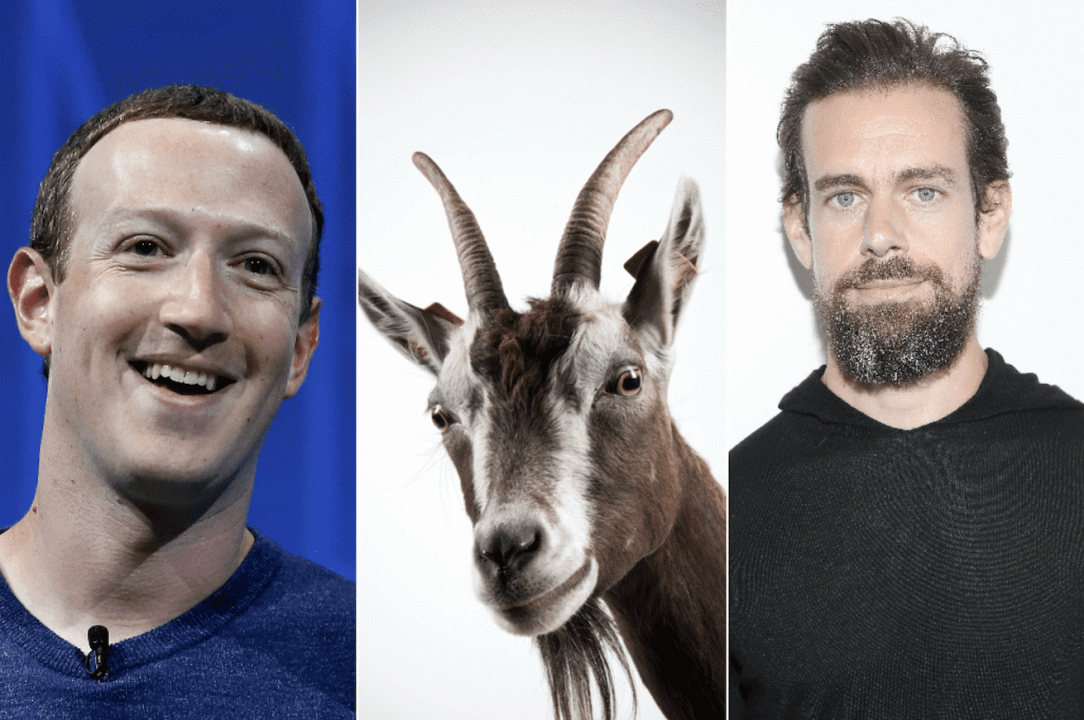 Mark Zuckerberg ha ucciso una capra con la “pistola laser” e l’ha mangiata