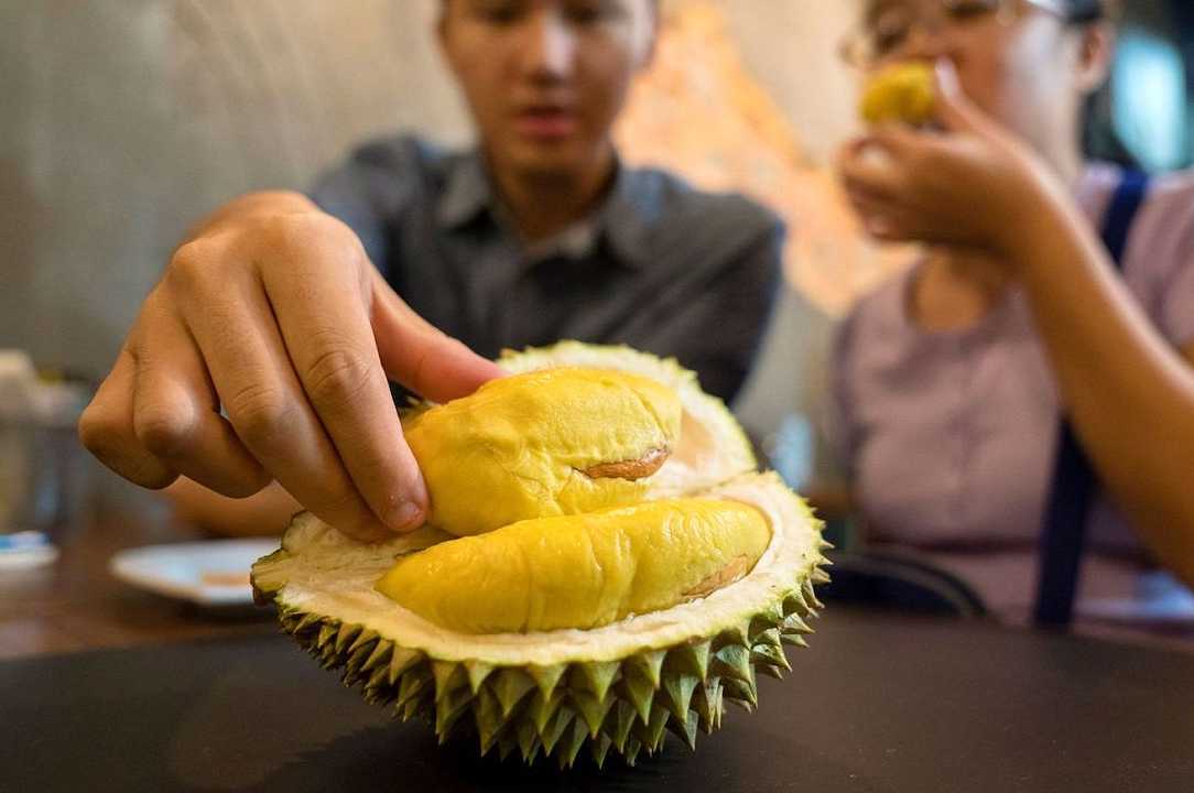 Il durian venduto a 875 euro con tutta la puzza