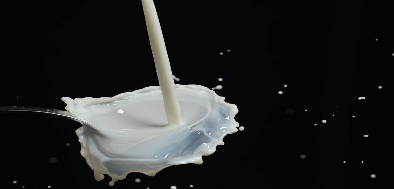 Pastori sardi riprendono le proteste per il prezzo del latte