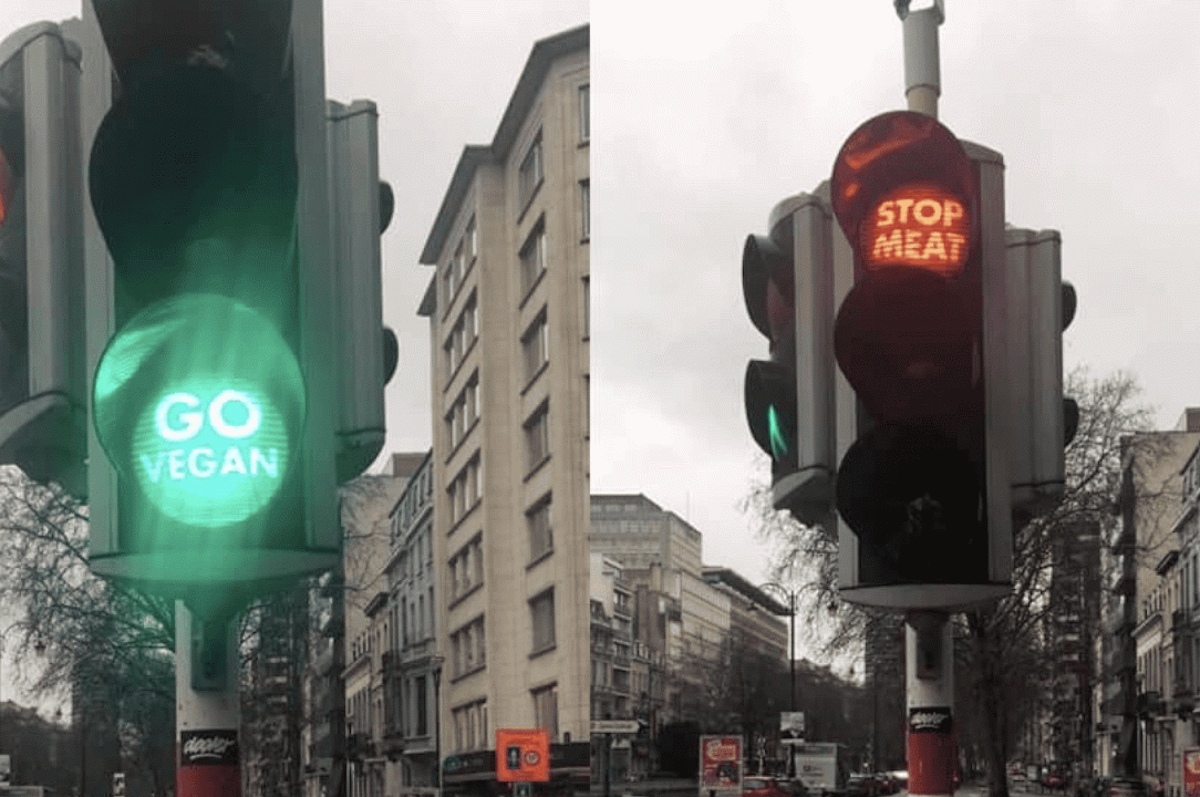 Diventare vegani per un semaforo a Bruxelles, si può?
