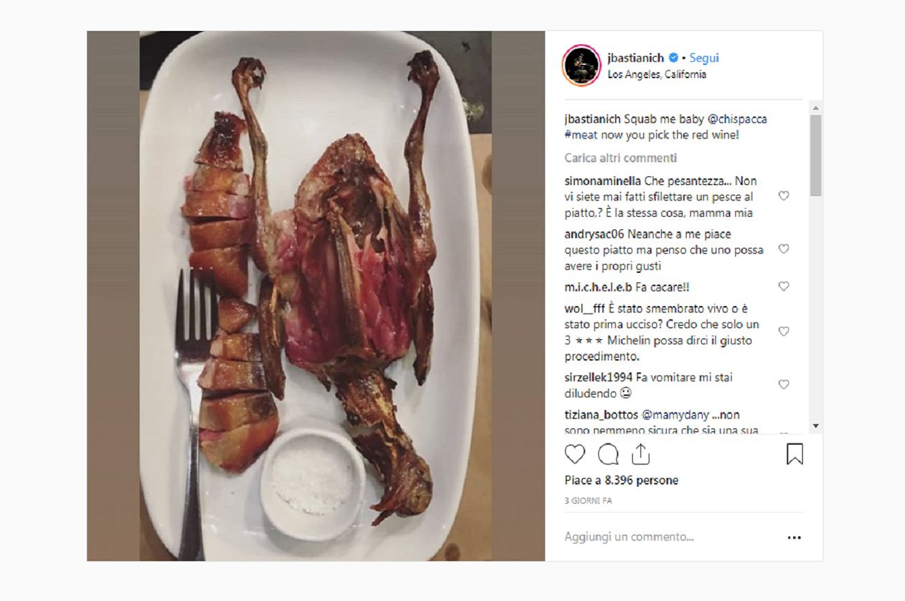 joe bastianich piccione