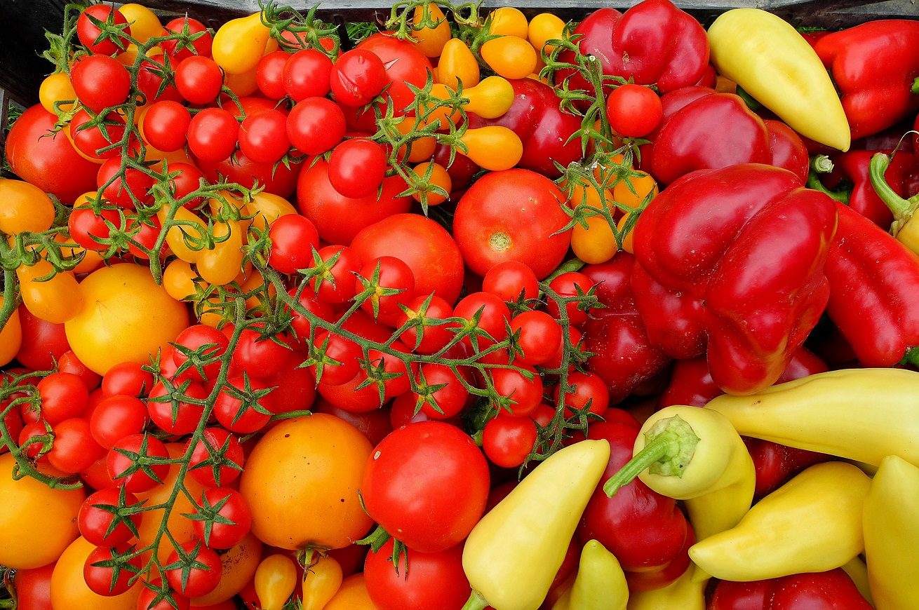 Cibo biologico