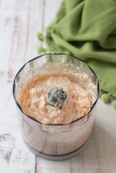 mousse al salmone frullata