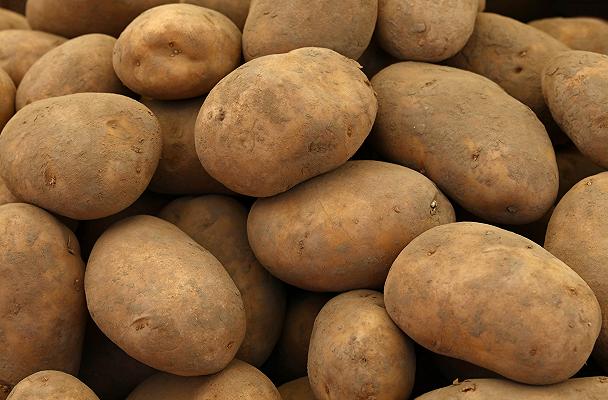 Come conservare le patate da seme e «prepararle» al trapianto