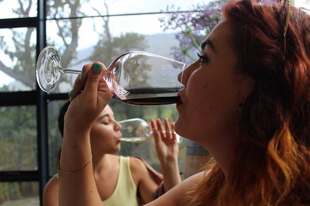 Vino: quanto e come bevono gli italiani