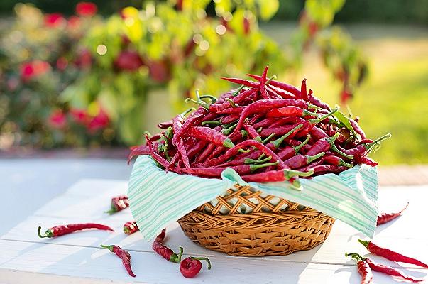 Il peperoncino potrebbe rallentare il cancro ai polmoni