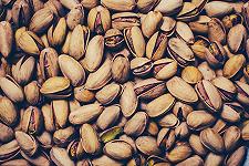 Agrigento: “adotta un pistacchio”, il crowdfunding per riportare in vita un’antica varietà