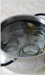 vasetti sterilizzati