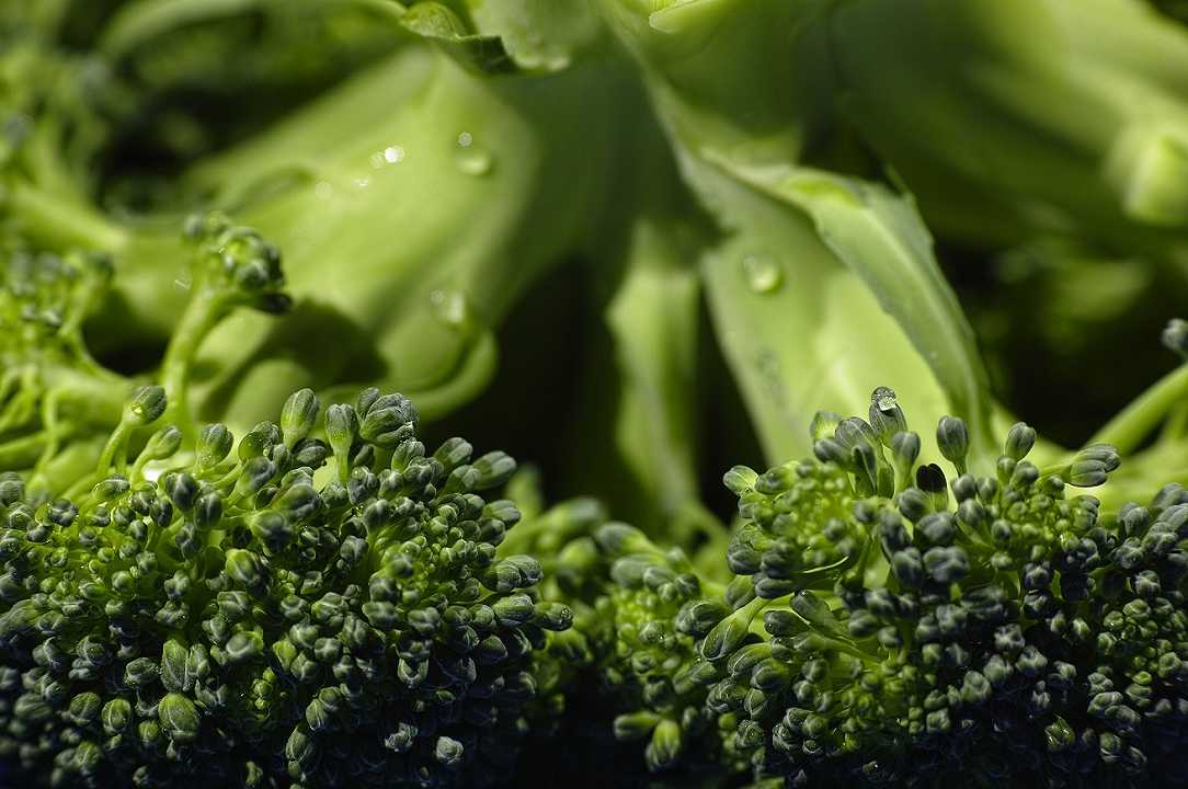 Broccoli: la molecola che blocca l’insorgenza dei tumori