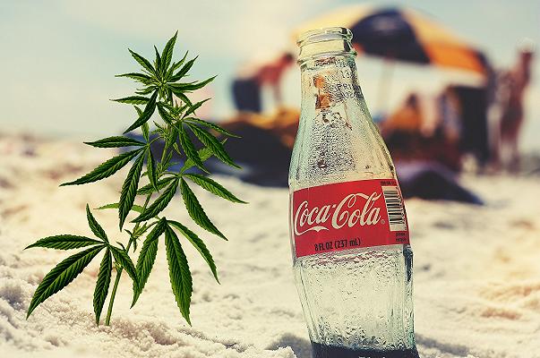 Coca Cola: l’erede Alki David arrestato con 5.000 piante di cannabis
