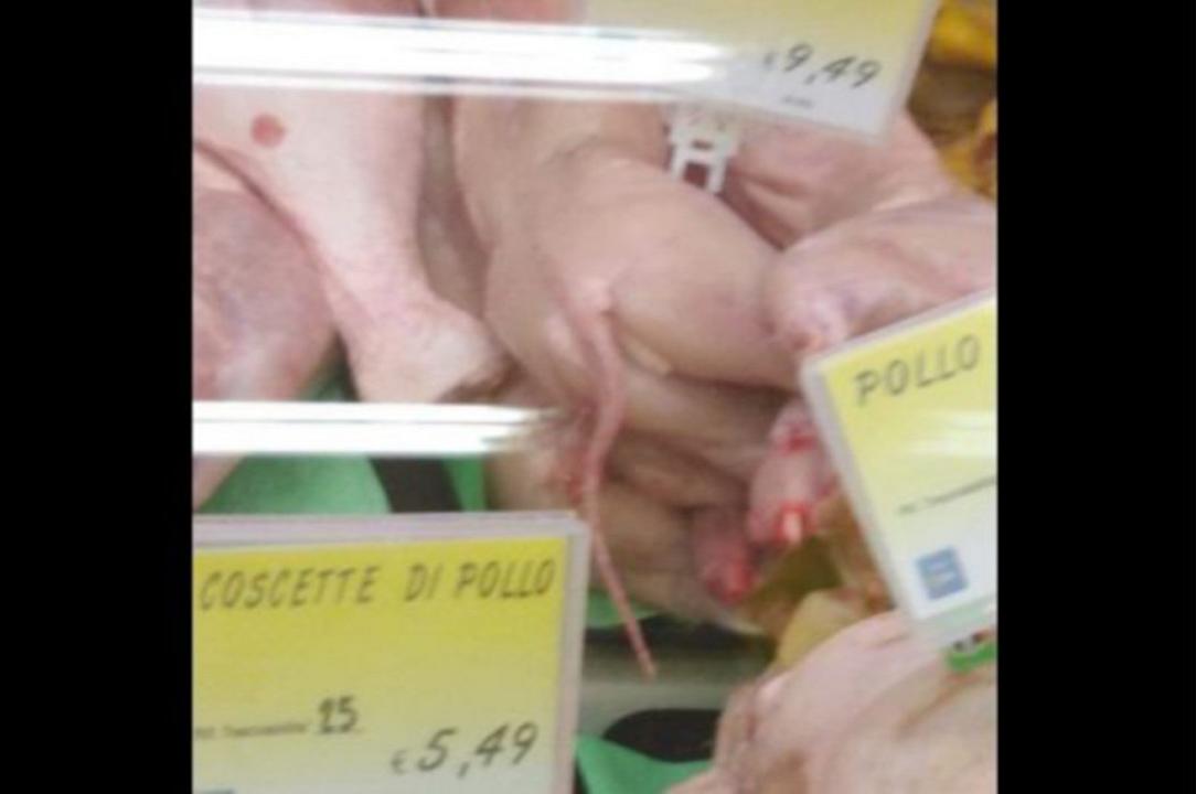 Eurospin: coniglio scambiato per gatto tra le carni in vendita