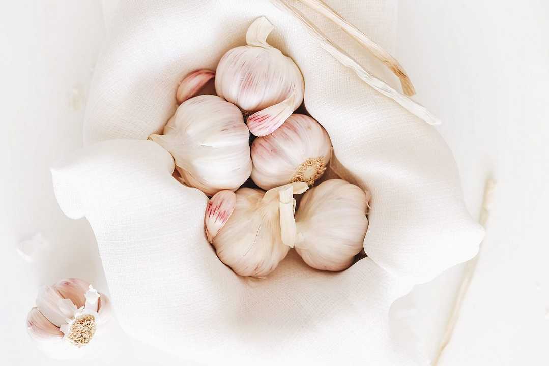 Come conservare l’aglio: 8 modi per mantenerlo buono a lungo e renderlo migliore col tempo