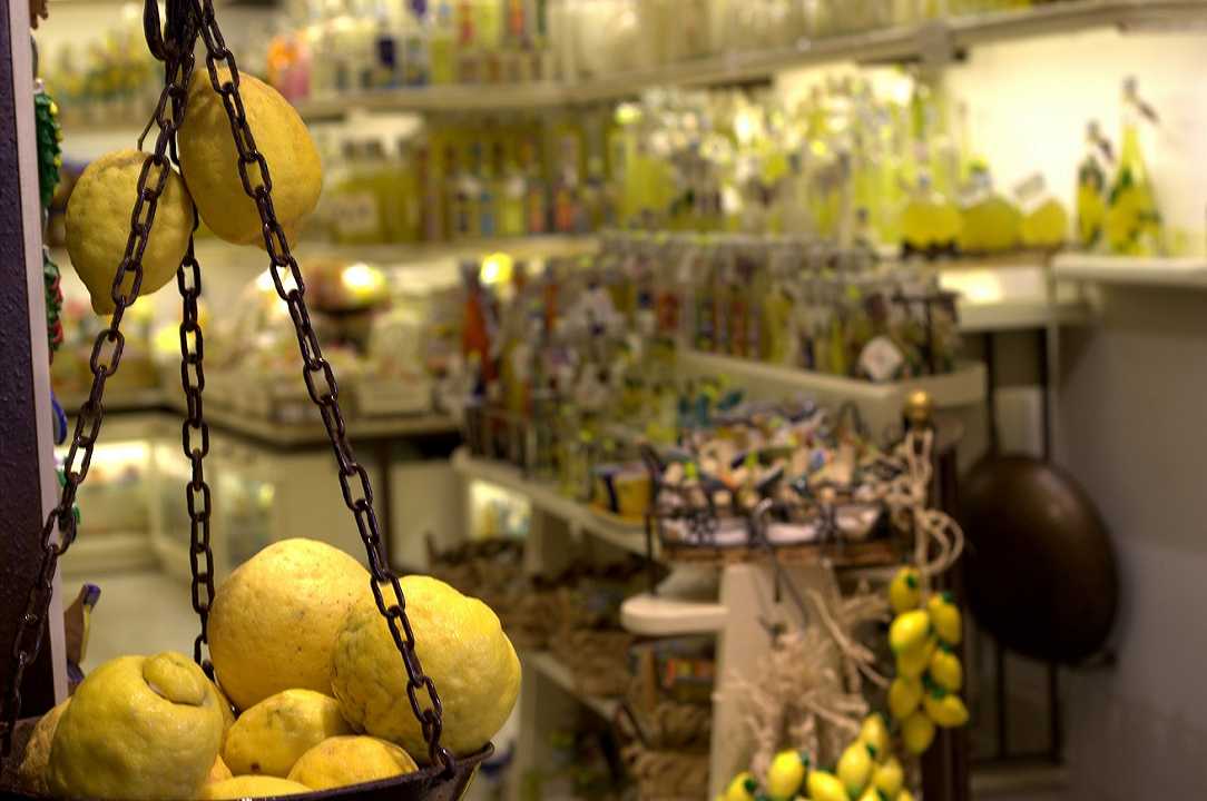 Limoni di Amalfi: crolla il prezzo, “meglio regalarli”