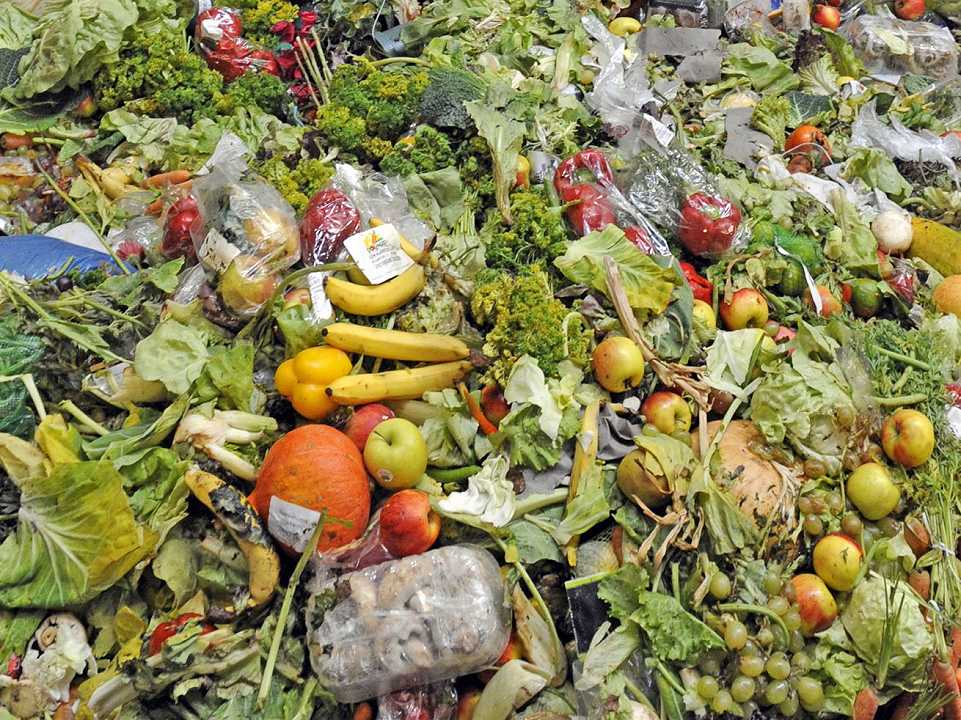 Sicilia: 360 mila tonnellate di cibo sprecate ogni giorno