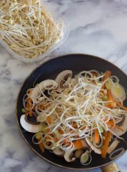 verdure nel wok