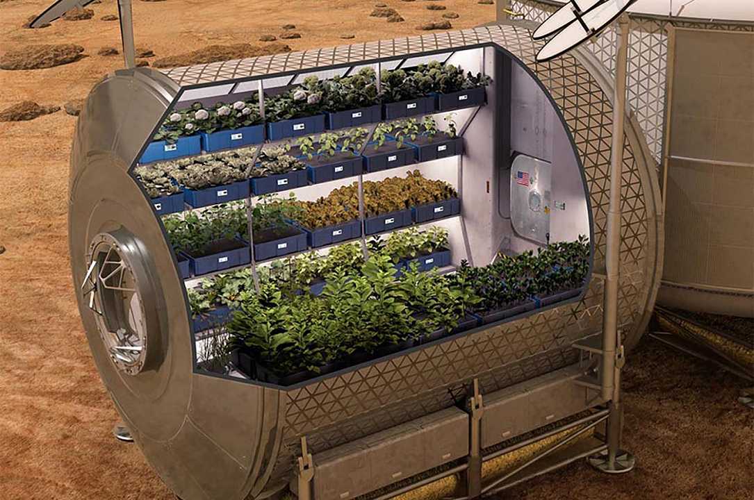 Agricoltura nello spazio: sarà possibile, grazie al contest della Nasa Growing Beyond Earth