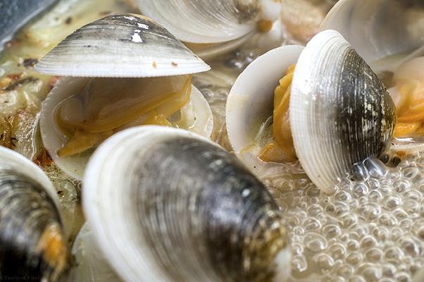 Vongole cangerogene in Campania: allarme a Castellammare di Stabia