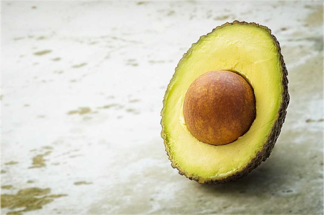 Arriva l’ecovado, versione sostenibile dell’avocado