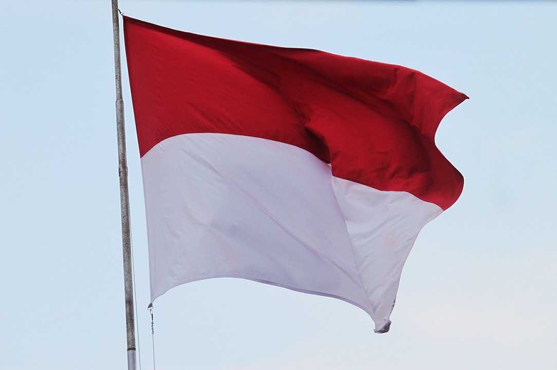 Senza olio di palma: l’Indonesia bandisce il claim, dopo Turchia e USA