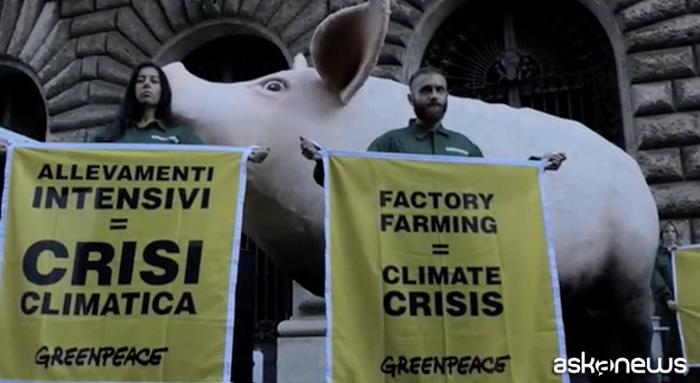 Greenpeace, blitz davanti al ministero dell’Agricoltura: “Stop ad allevamenti intensivi”