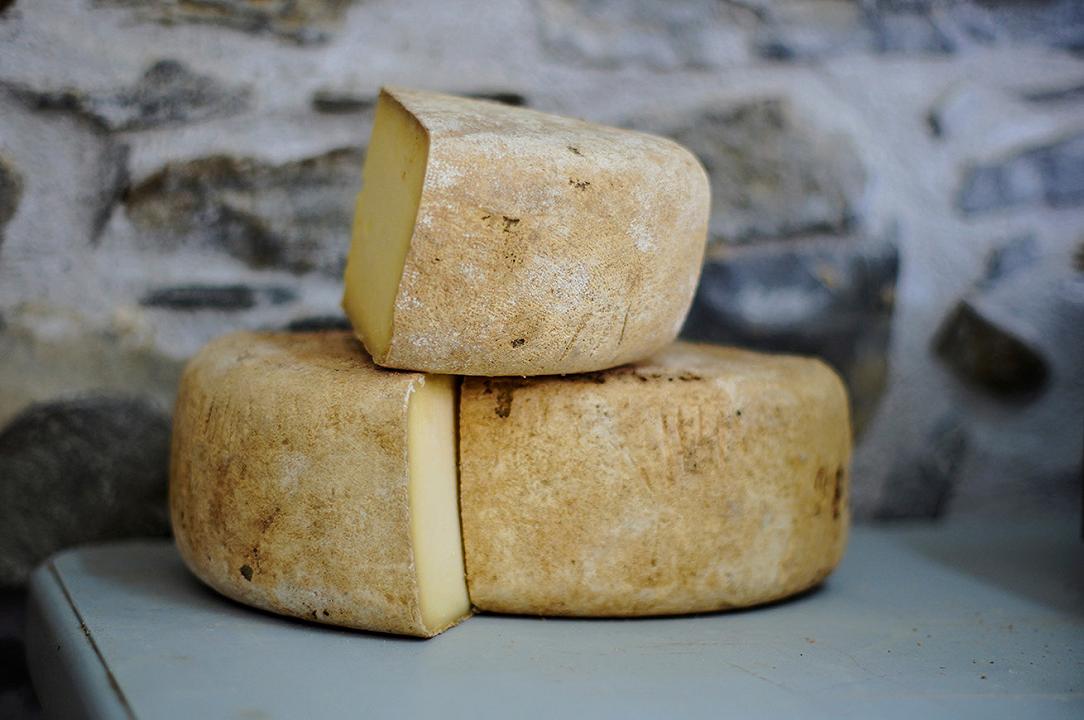 Cheese 2019: quello che le denominazioni del formaggio non dicono