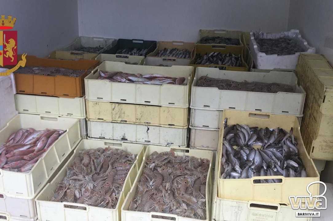 Pesce sequestrato e donato alle famiglie in difficoltà: succede a Bari
