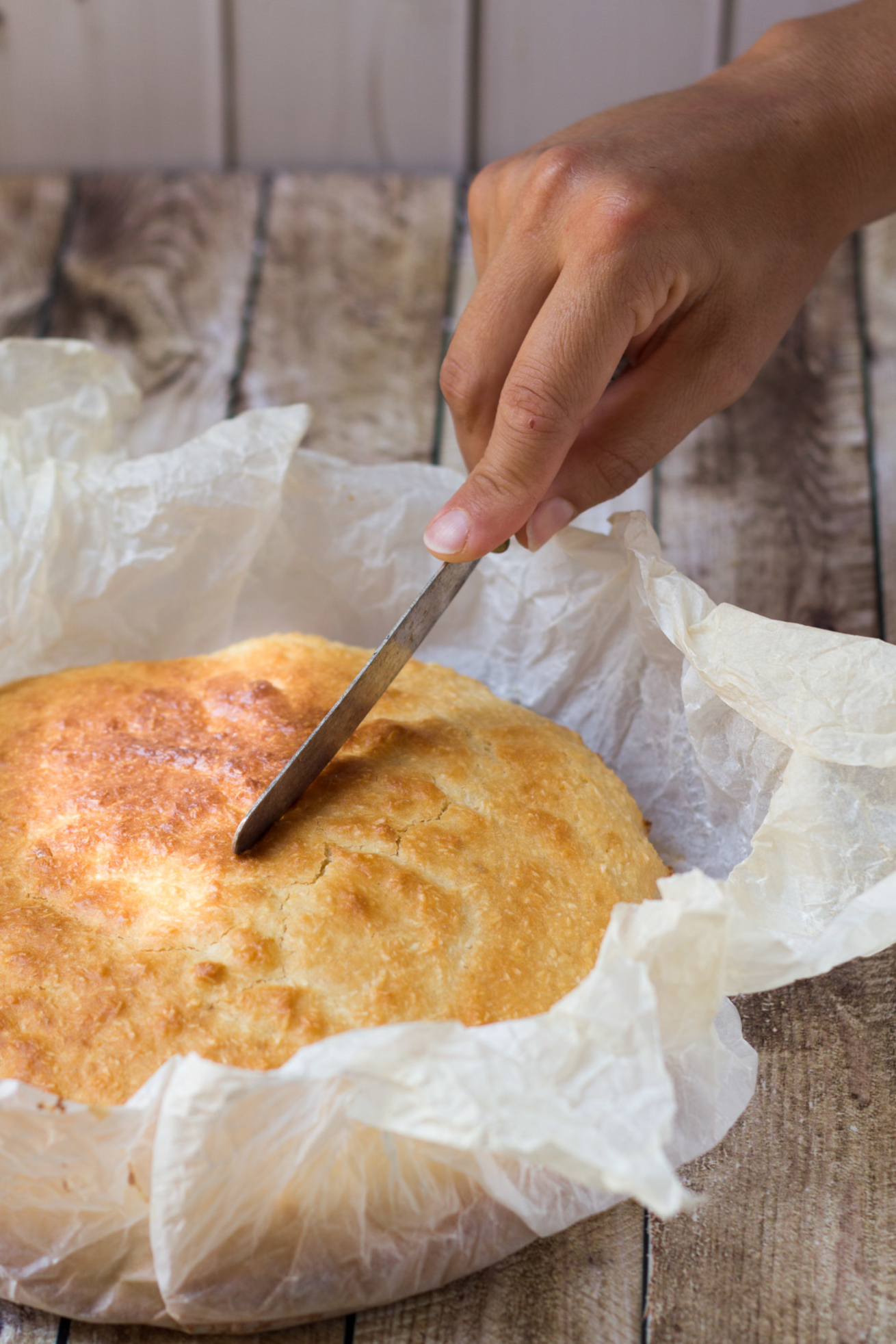 torta-al-cocco-ligh-taglio
