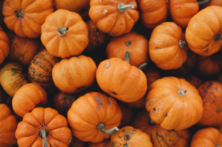 Dieta della zucca, quanto si può perdere?