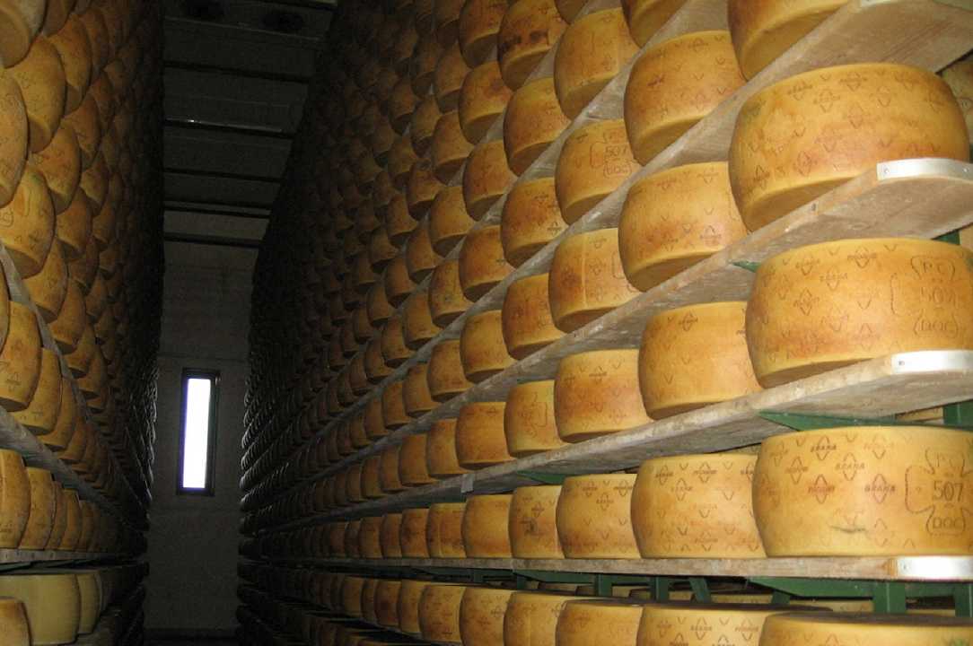 Grana Padano regala 130 mila kg di formaggio alle famiglie bisognose