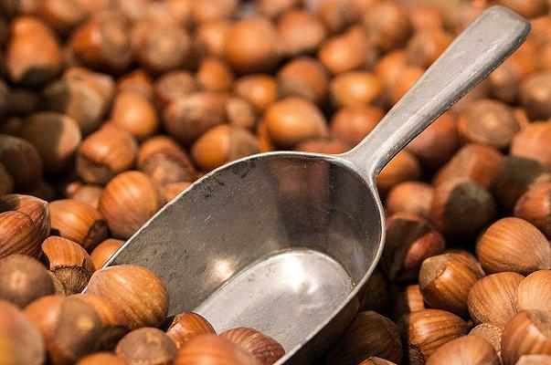 Ferrero, il Progetto Nocciole Italia arriva nelle Marche con la Cooperativa Agricola Montesanto