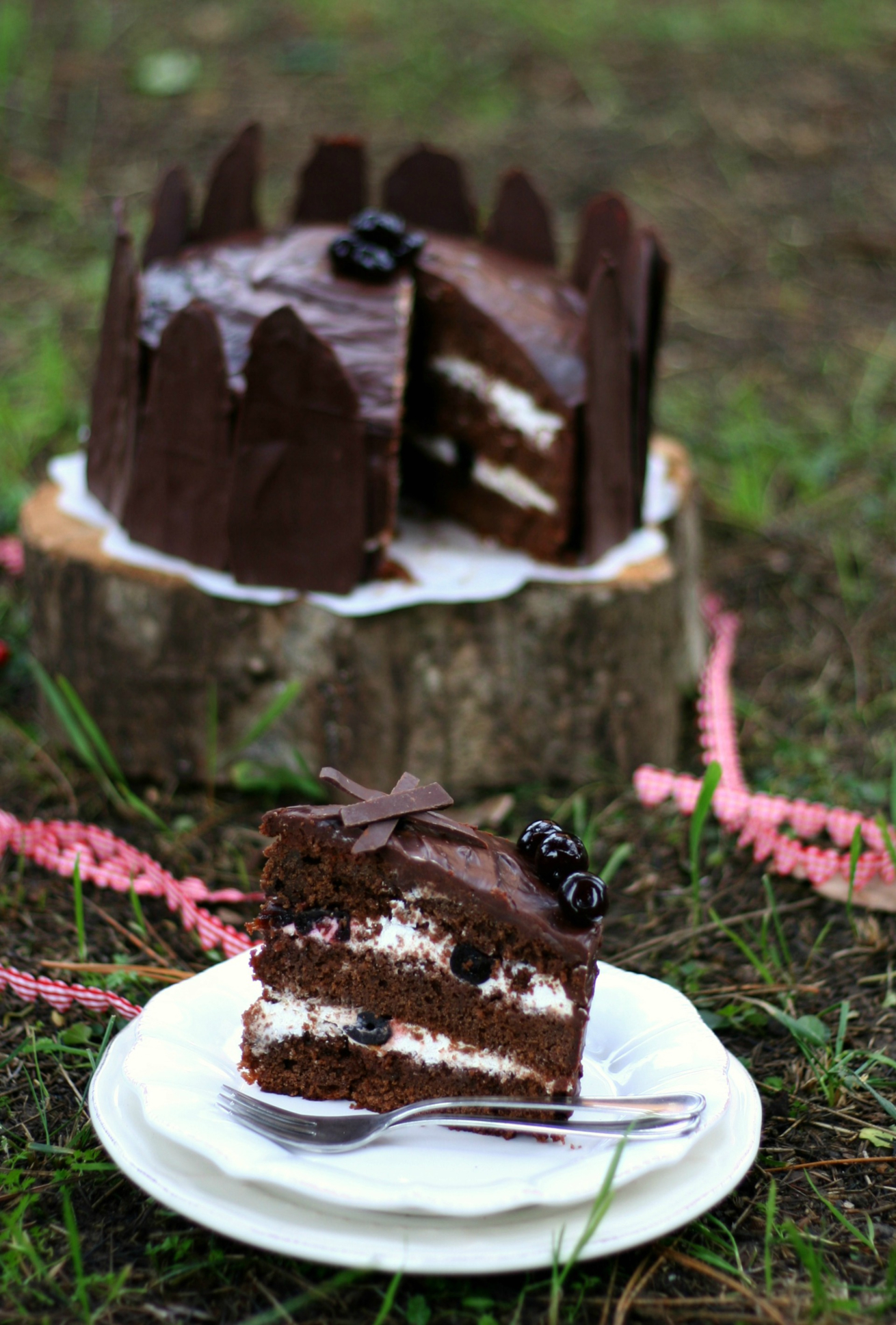 torta-foresta-nera-ricetta